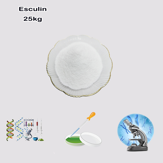 China Supplier High Quality Best Price Natural Esculin CAS 531-75-9