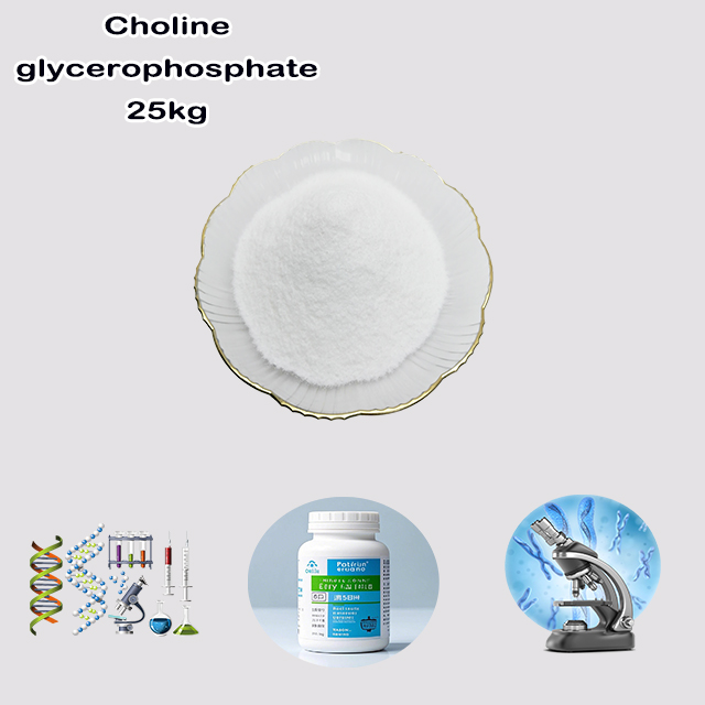 China Supplier High Quality Best Price Choline Glycerophosphate CAS 28319-77-9