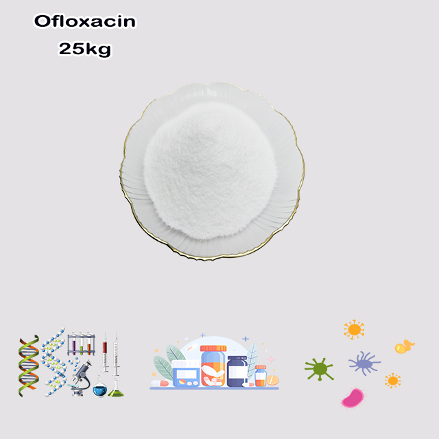 China Supplier High Quality Best Price Ofloxacin CAS 82419-36-1 for Antipyretic and analgesic