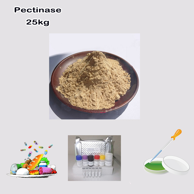 China Supplier High Quality Best Price Pectinase CAS 9032-75-1 for bio-enzyme(biological enzyme)