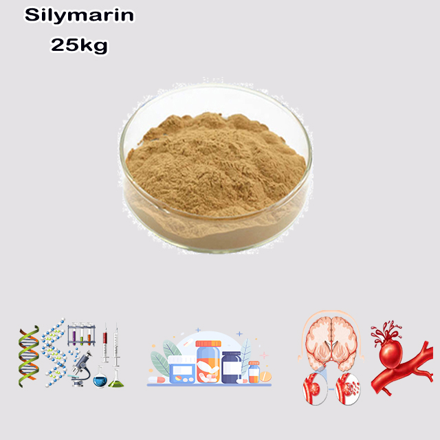 China Supplier High Quality Best Price Silymarin/Milk Thistle CAS 65666-07-1