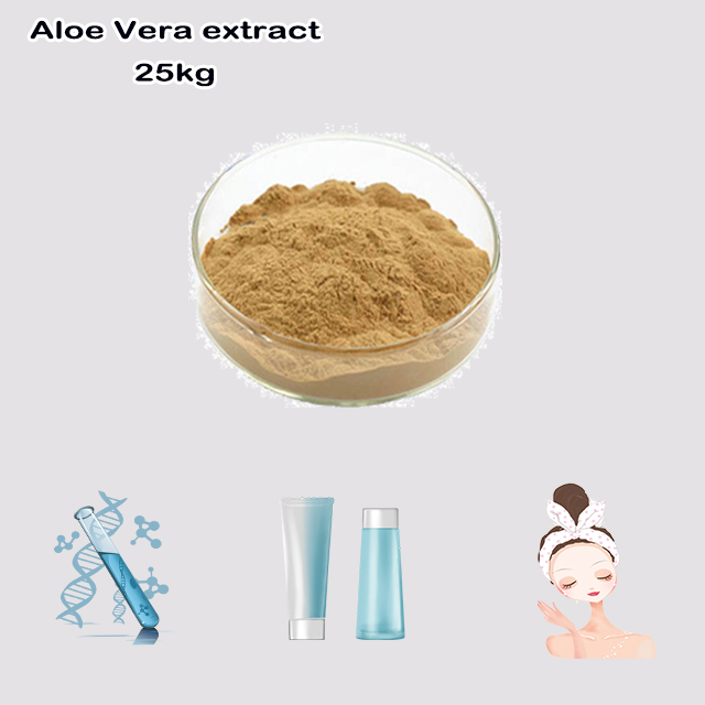 China Supplier High Quality Good Price Aloe Vera extract CAS 8001-97-6 for Skin Care for sale