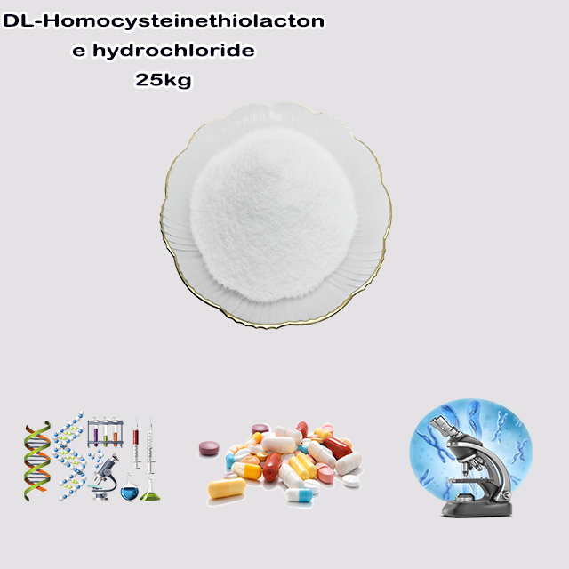 China Supplier High Quality Good Price DL-Homocysteinethiolactone hydrochloride CAS 6038-19-3