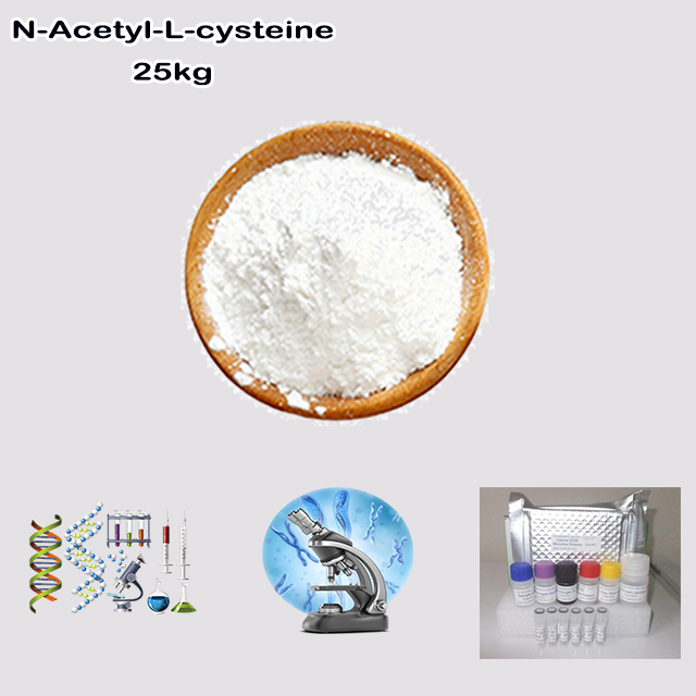 China Factory Supply High Quality N-Acetyl-L-cysteine CAS 616-91-1 for biochemical research