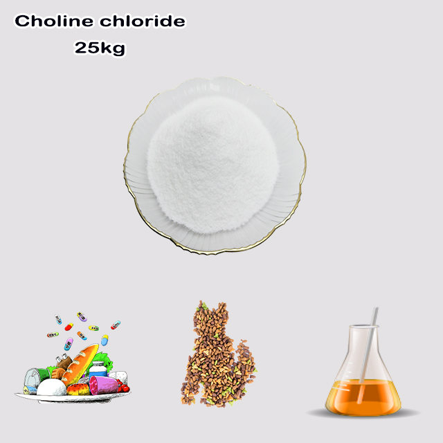 China Supplier High Quality Best Price Choline Chloride CAS 67-48-1 for Feed Additives