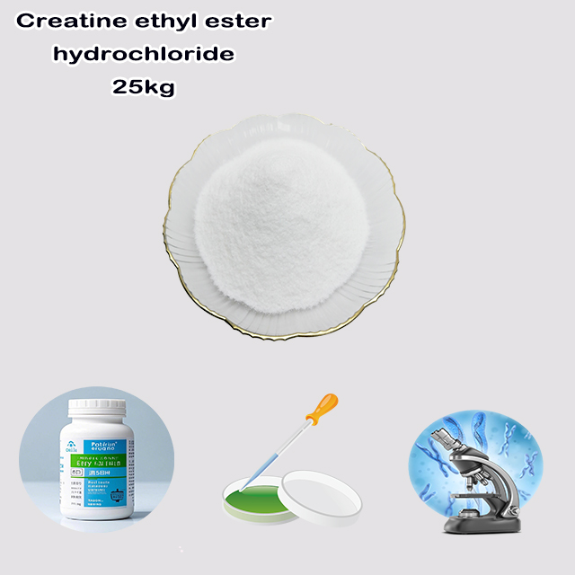 China Supplier High Quality Creatine ethyl ester hydrochloride CAS 15366-32-2 with good price wholesale China Supplier High Quality Creatine ethyl ester hydrochloride CAS 15366-32-2 with good price for sale