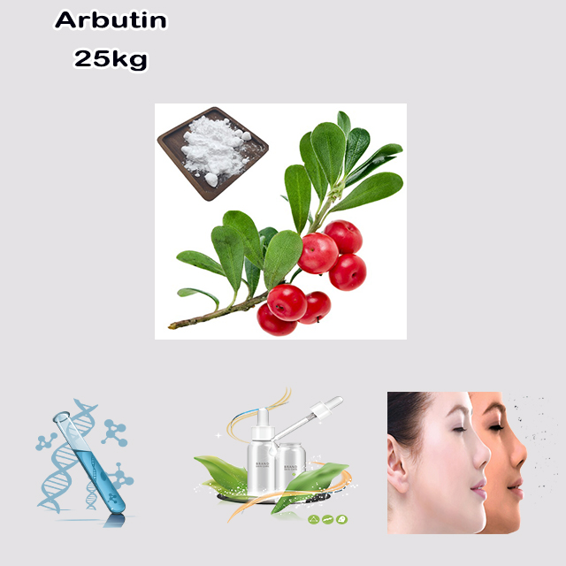 China Factory Supply High Quality Good Price Beta-Arbutin CAS 497-76-7 for skin whitening product