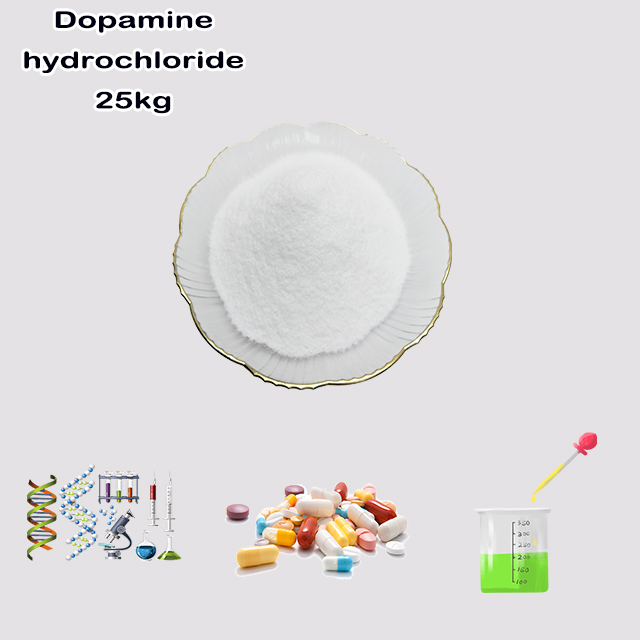 China Manufacturer Supply High Purity Dopamine hydrochloride CAS 62-31-7 with good service