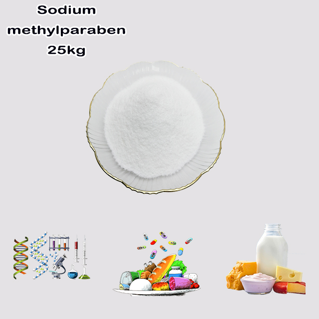 China Supplier High Quality Good Service Sodium Methylparaben CAS 5026-62-0