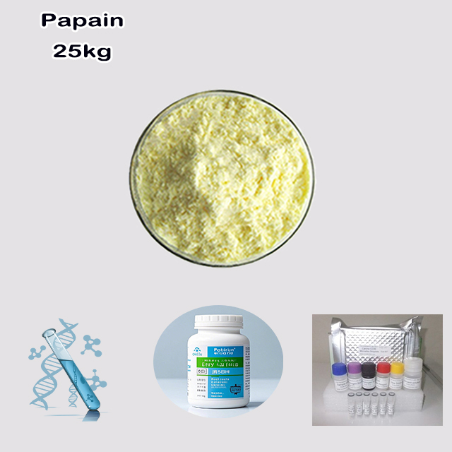 China Factory Supply High Quality Papain CAS 9001-73-4 with good service