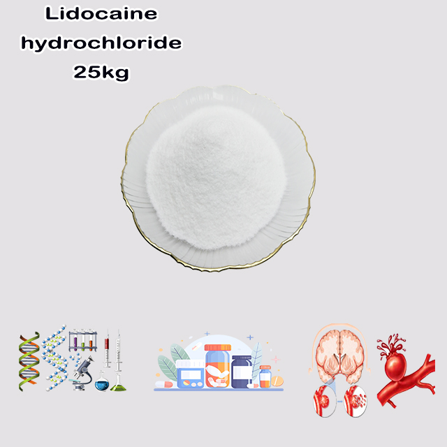 China Supplier High Quality Linocaine Hydrochloride CAS 6108-05-0 with good service