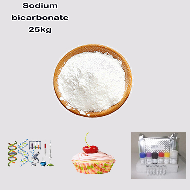 China Factory Supply High Quality Sodium bicarbonate CAS 144-55-8 with good service