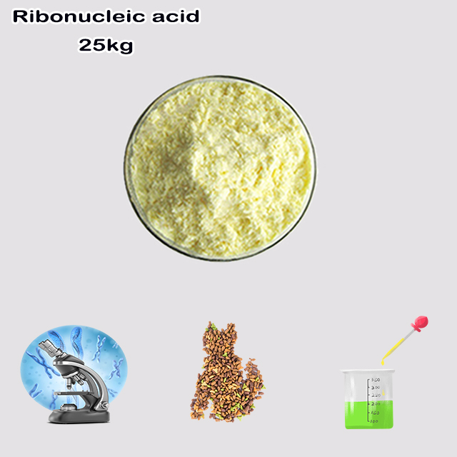 China Manufacturer Supply Top Purity Ribonucleic Acid CAS 63231-63-0 with good service