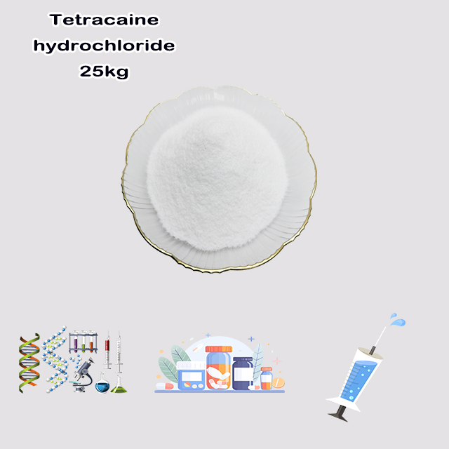 China Manufacturer Supply High Quality Tetracaine Hydrochloride CAS 136-47-0 for sale