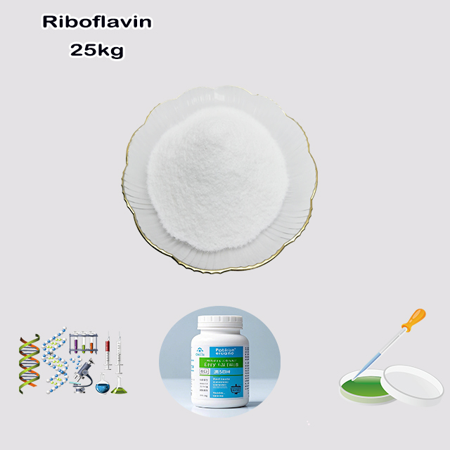 China Supplier High Quality Riboflavin CAS 83-88-5 with good service for sale