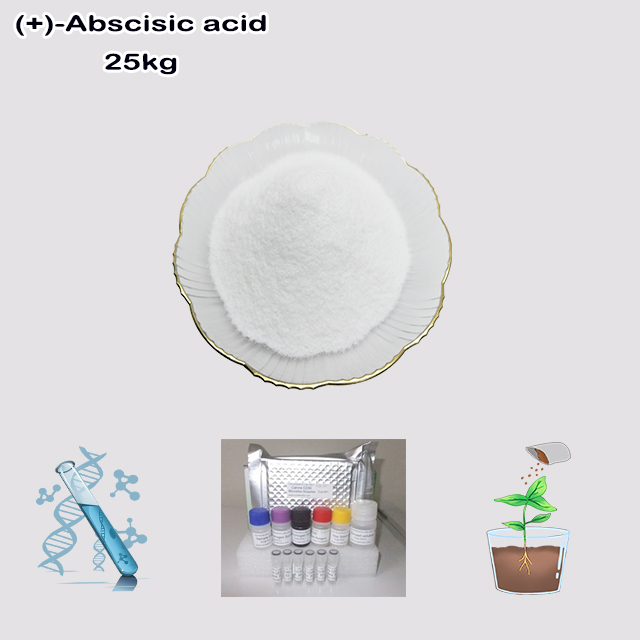 China Factory Supply High Quality (+)-Abscisic acid(ABA) CAS 21293-29-8 with good service