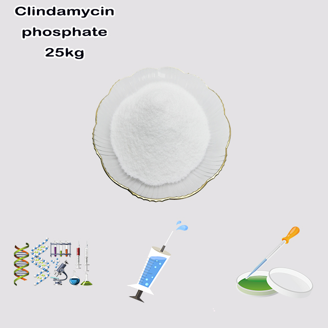 China Supplier High Quality Clindamycin Phosphate CAS 24729-96-2 with best price