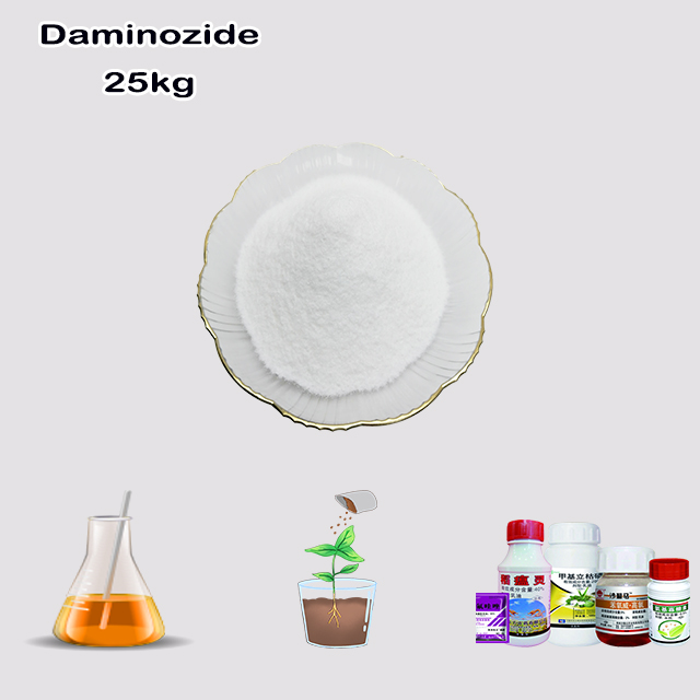 China Factory Supply High Quality Daminozide CAS 1596-84-5 with good service