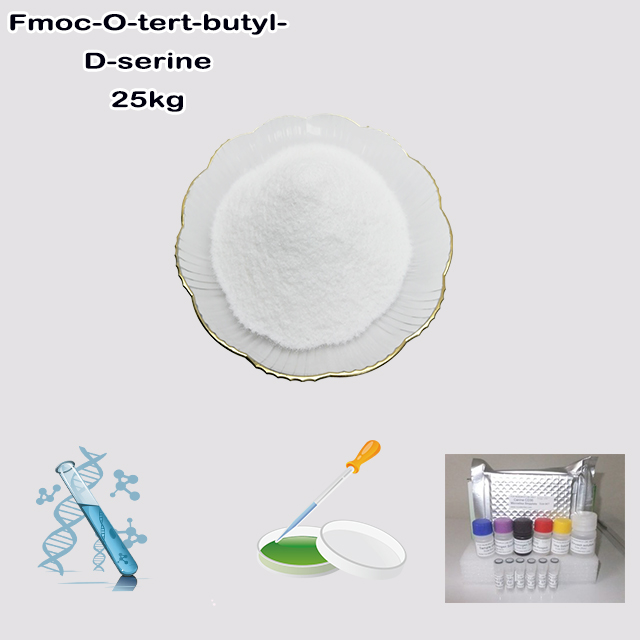 China Factory Supply High Quality Fmoc-O-tert-butyl-D-serine CAS 128107-47-1 with best price