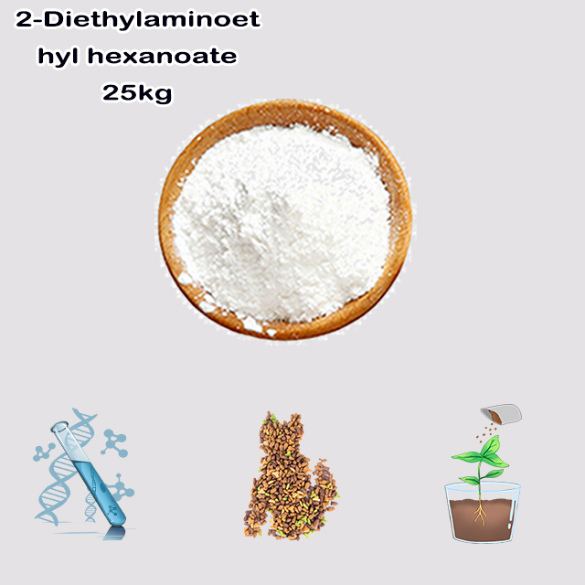 China Source Factory Supply High Quality 2-Diethylaminoethyl hexanoate CAS 10369-83-2