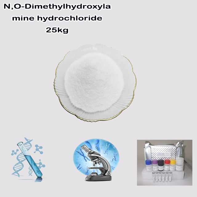 China Manufacturer Supply High Quality N,O-Dimethylhydroxylamine Hydrochloride CAS 6638-79-5 with good service