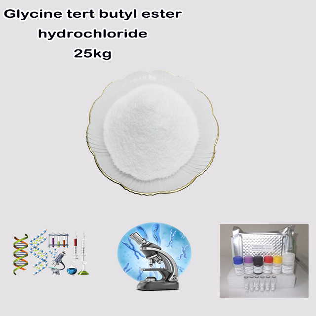 China Factory Supply High Purity Glycine tert butyl ester hydrochloride CAS 27532-96-3 with good service for sale
