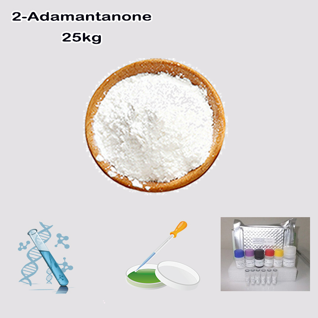 China Factory Supply High Quality 2-Adamantanone CAS 700-58-3 with good service