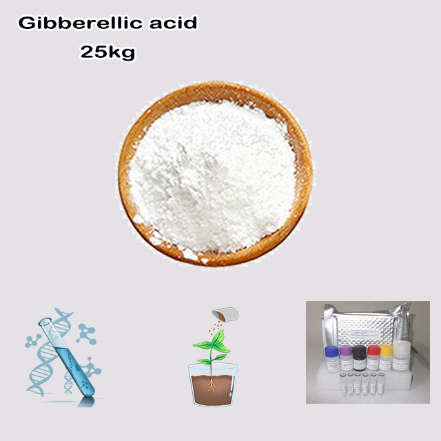 China Manufacturer Supply High Quality Gibberellic acid/GA3 CAS 77-06-5 with good service