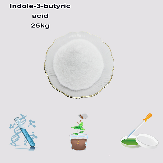China Factory Supply Top Quality 3-Indolebutyric acid CAS 133-32-4 with good service for sale