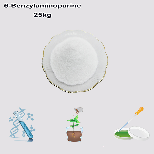 China Factory Supply High Quality 6-Benzylaminopurine CAS 1214-39-7 with good service