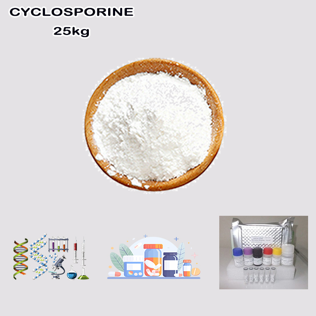 China Factory Supply Best Purity CYCLOSPORINE CAS 79217-60-0 with good service for sale