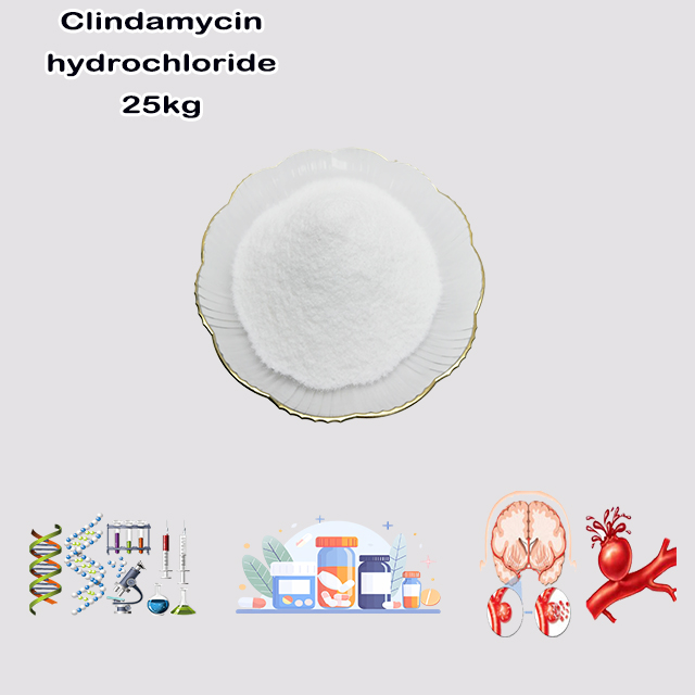 China Manufacturer Supply Top Purity Clindamycin Hydrochloride CAS 21462-39-5 with good service