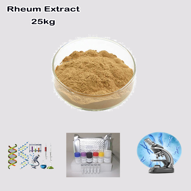 China Factory Supply High Quality Rheum Extract with good service for sale