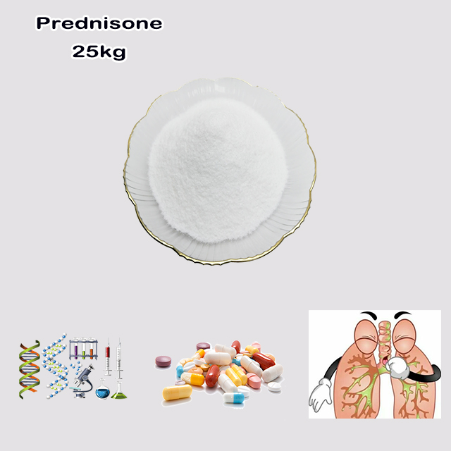 China Manufacturer Supply High Quality Prednisone CAS 53-03-2 with good service
