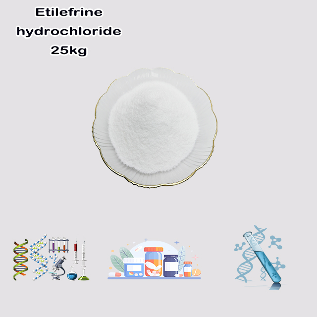 China Chemical Factory Supply High Quality Etilefrine Hydrochloride CAS 943-17-9 with good service