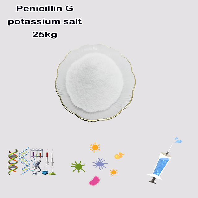 China Chemical Factory Supply High Quality Potassium Benzylpenicillin CAS 113-98-4 with good service