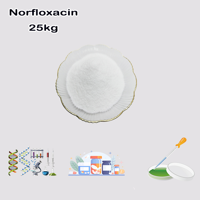 China Chemical Manufacturer Supply High Quality Norfloxacin CAS 70458-96-7 with good service