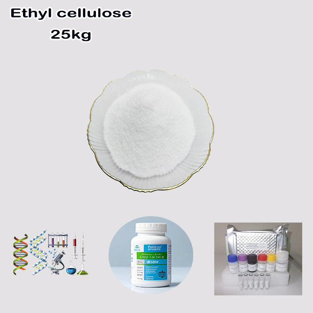 China Chemical Manufacturer Supply High Quality Ethyl cellulose CAS 9004-57-3 with good service