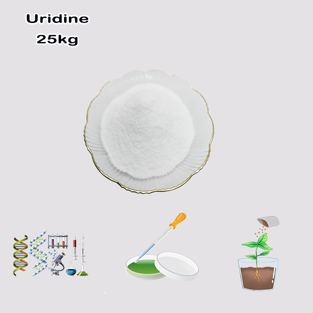 Chemical Supplier Hot Selling Best Price Top Quality Uridine CAS 58-96-8 with good service
