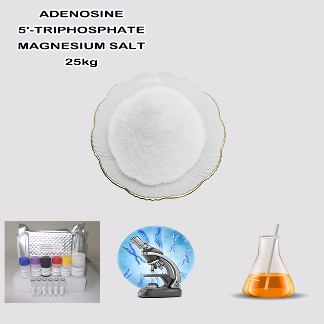 Manufacturer Supply High Quality Bulk Price ADENOSINE 5'-TRIPHOSPHATE MAGNESIUM SALT CAS 74804-12-9 for sale