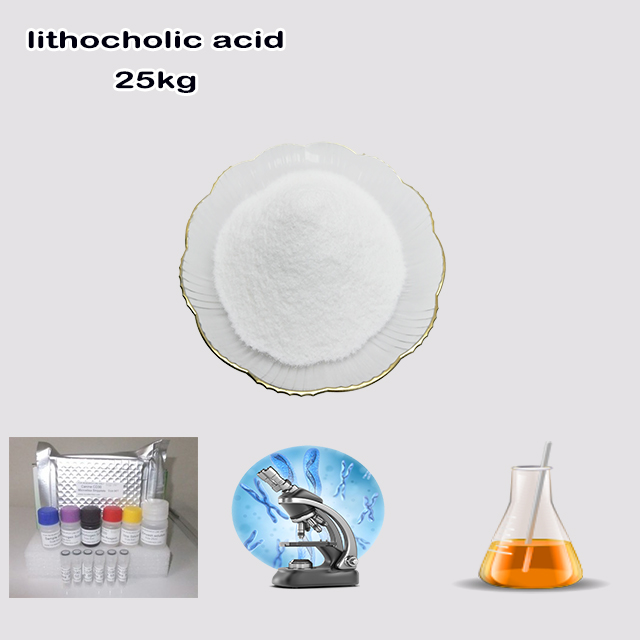 Manufacturer Supplier Best Purity Bulk Price Lithocholic Acid CAS 434-13-9