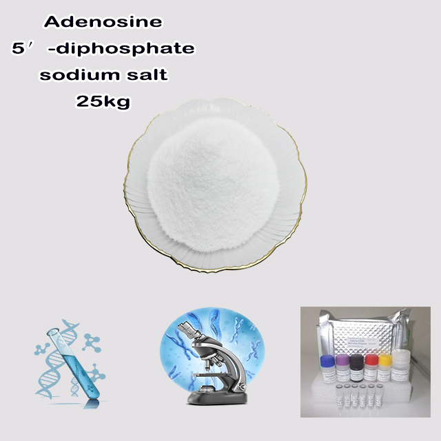 Chemical Manufacturer Supply Bulk Price High Quality Adenosine 5′-diphosphate sodium salt CAS 20398-34-9 with good service for sale