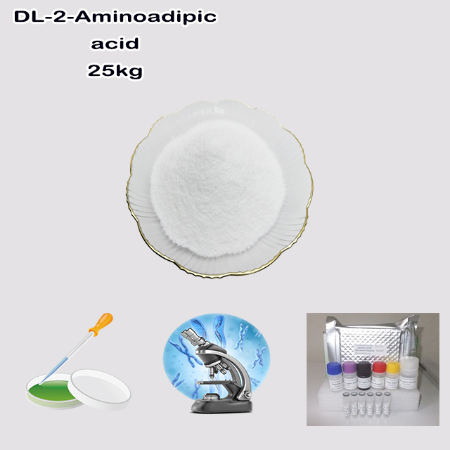 Chemical Manufacturer High Quality Best Price DL-2-Aminoadipic acid CAS 542-32-5 with good service for sale