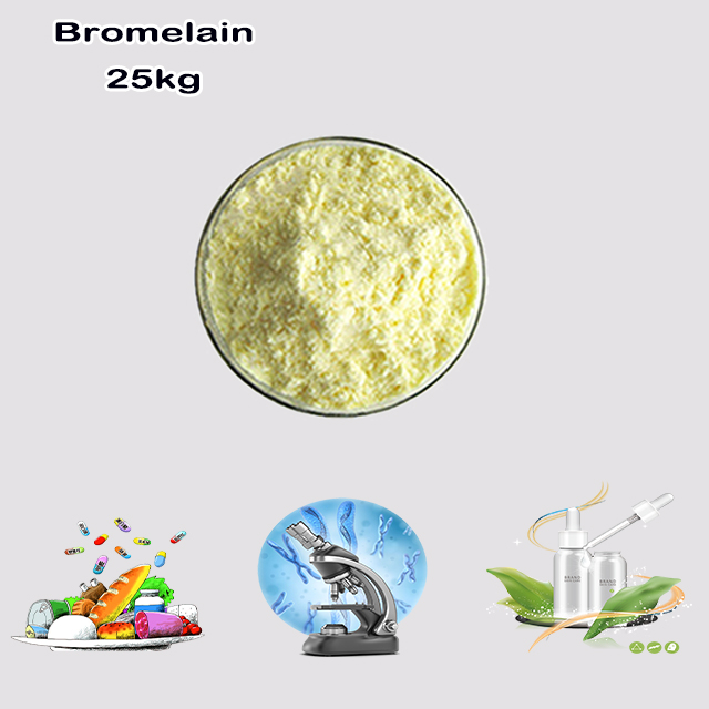 Chemical Manufacturer High Quality Best Price Bromelain CAS 9001-00-7 with good service