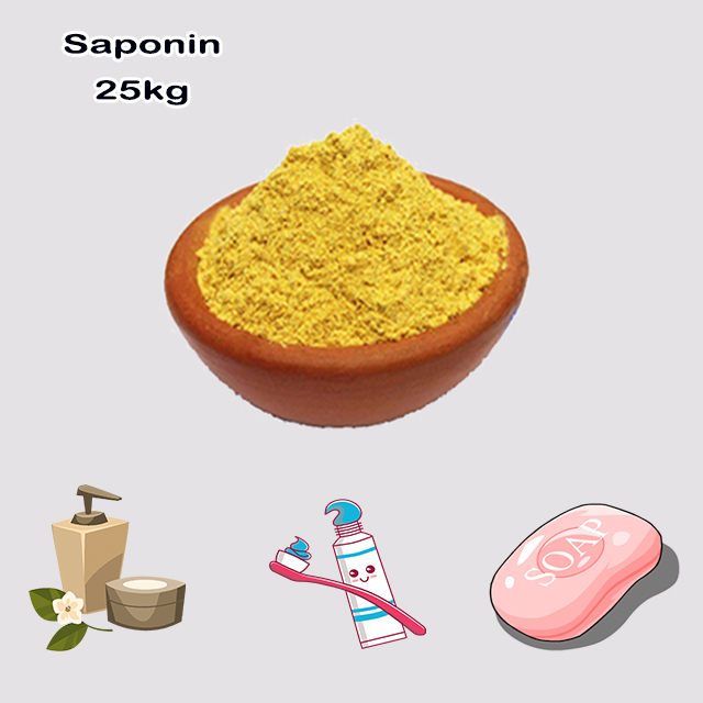 Chemical Manufacturer Supply High Quality Best Price Saponin CAS 8047-15-2 with good service