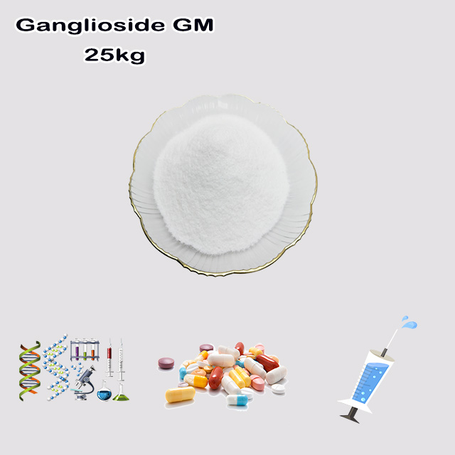 Chemical Manufacturer Supply High Quality Ganglioside GM1 CAS 37758-47-7 with bulk price