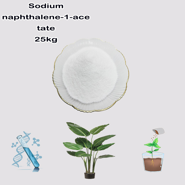 Chemical Manufacturer High Quality Bulk Price Sodium Alfa Naphthaleneacetic Acid(Sodium NAA) CAS 61-31-4 with good service