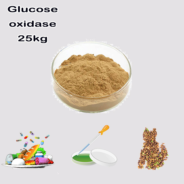 Manufacturer High Quality Natural Glucose Oxidase Enzyme Food Grade Glucose Oxidase Powder (from aspergillus niger) CAS 9001-37-0
