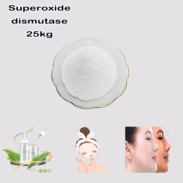 Factory Supply High Quality 50000 Iu/g Microbial Fermented SOD Superoxide Dismutase Mn SOD CAS 9054-89-1 for sale