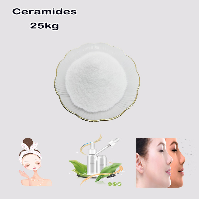 High Quality Cosmetic Grade Raw Materials Ceramide 3 Water Solubility Ceramide 3 Powder CAS 100403-19-8 for sale